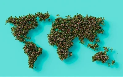From Israel to the U.S.: How Our Culture Shaped Our Approach to Business
