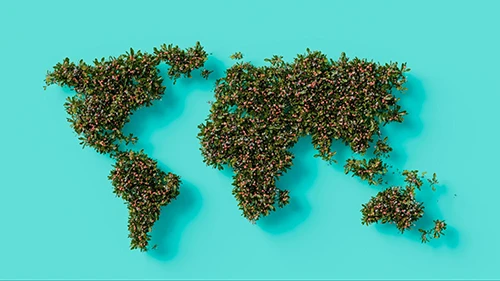 From Israel to the U.S.: How Our Culture Shaped Our Approach to Business